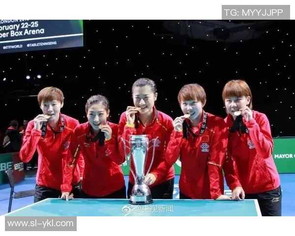 上海网球队实力分析：展现团队协作与个人技术的完美结合