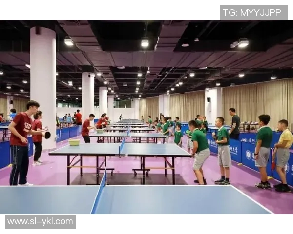 乒乓球的魅力与实力深圳乒乓球队背后的故事与成就探秘