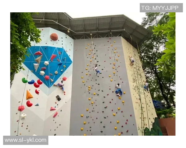 南京攀岩队的战术分析与训练策略探讨攀岩热点解读 南京攀岩队的战术分析与训练策略探讨攀岩热点解读