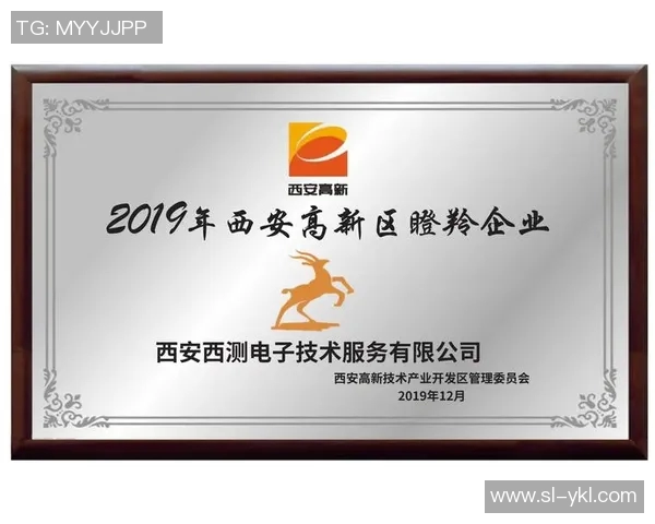 西安羽毛球队技术表现的深入数据分析与未来发展建议