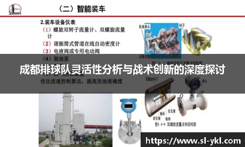 成都排球队灵活性分析与战术创新的深度探讨